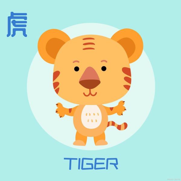 生肖老虎有几种属相（生肖虎分为哪几种？新手轻松看懂）