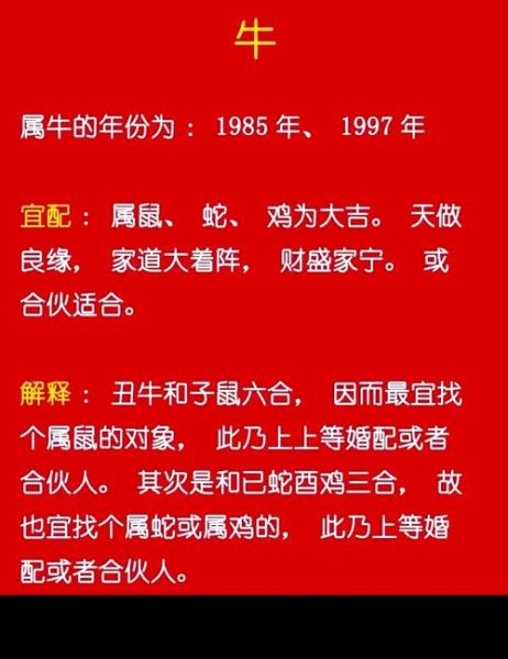 结婚的生肖属相（2025年结婚忌什么属相）