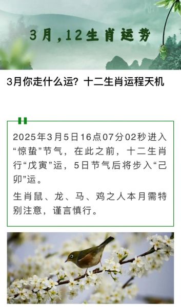 属相运势2019年生肖运程每月(2019年生肖每月运势大全)