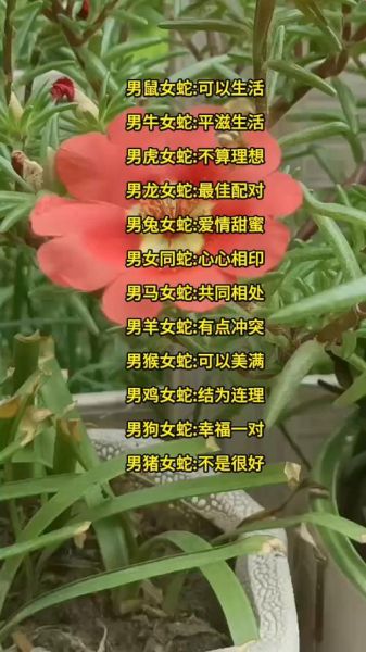 蛇女的生肖配对属相（蛇女最佳婚配生肖是谁）