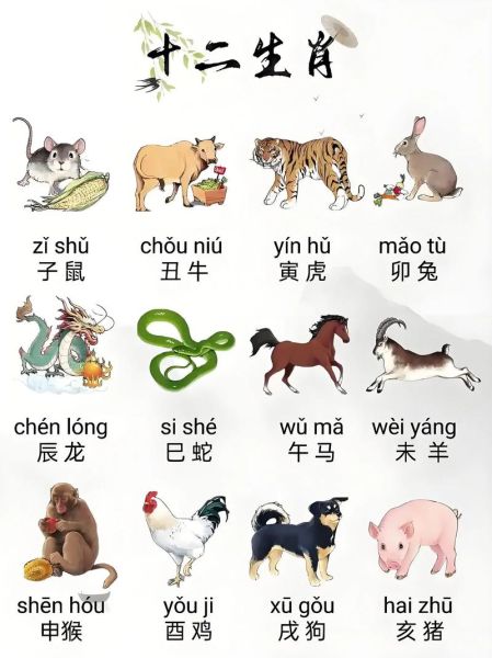 哪些属相是哥俩生肖（老鼠和牛为什么是哥俩生肖？）
