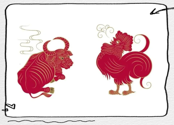 生肖牛属相鸡（生肖牛属相鸡合不合冲不冲？）