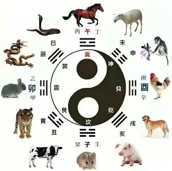风水最佳生肖属相（风水最佳生肖属相有哪些？）