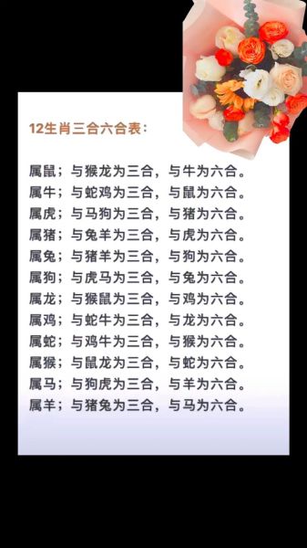 生肖属相书单（生肖属相书单入门指南）