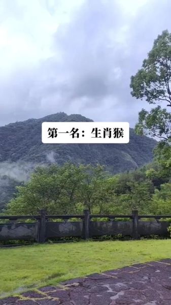 十二生肖孙膑属相（孙膑属相揭秘：孙膑属什么生肖？）