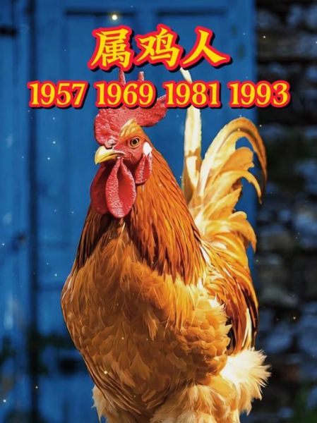 鸡后面属相是什么生肖（鸡后面是什么生肖）