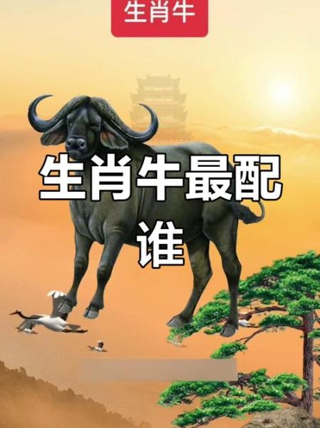 生肖牛的属相跟什么属相最匹配(生肖牛和什么生肖最配)