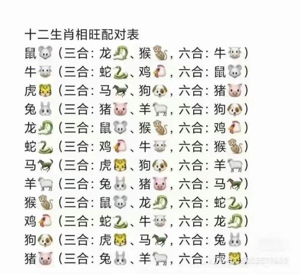 生肖属相财运配对（鼠和龙生肖财运搭配吗✨）