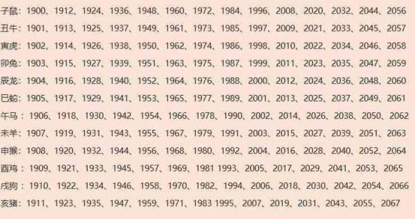 狗属相生肖（狗属相今年多大？2025属狗年龄对照表👀）