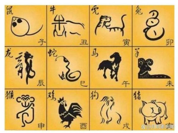 白叟黄童属什么生肖属相（白叟黄童属什么生肖属相🧓👶）