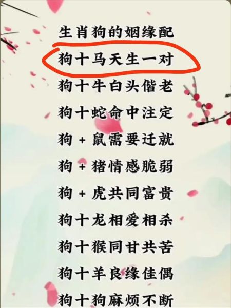 生肖狗属相搭配好吗女生(生肖狗女生属相搭配好吗)