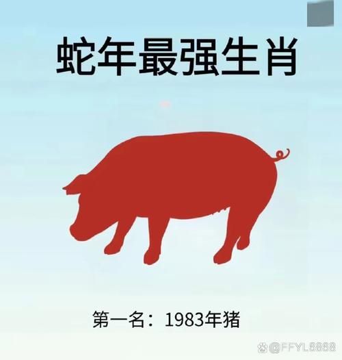 克猪的生肖属相（克猪的生肖属相是什么动物）