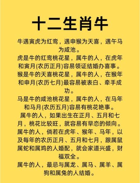 适合结婚生肖的属相（属牛和什么属相最配？）