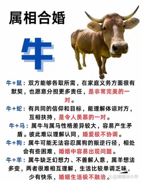 适合结婚生肖的属相（属牛和什么属相最配？）