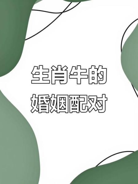 适合结婚生肖的属相（属牛和什么属相最配？）