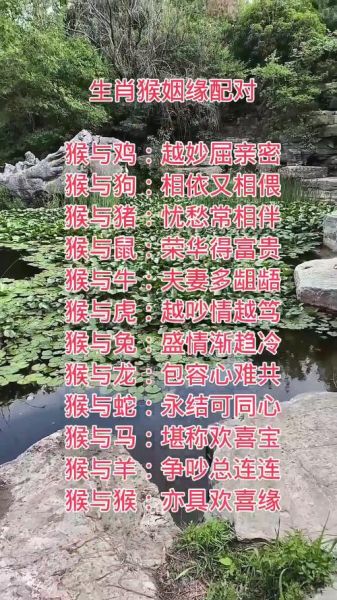 生肖猴相配属相（生肖猴和什么属相最配？）