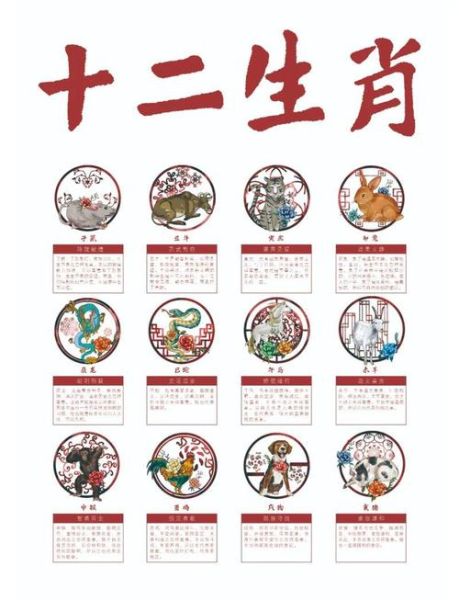 癸属相生肖（癸属什么生肖？小白一看就会的速查指引）