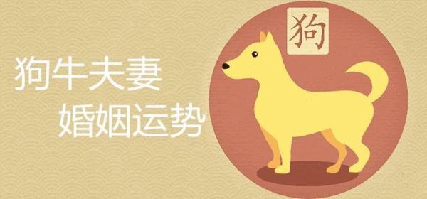 生肖狗和生肖牛伴郎属相（生肖狗生肖牛的伴郎会不会相冲）