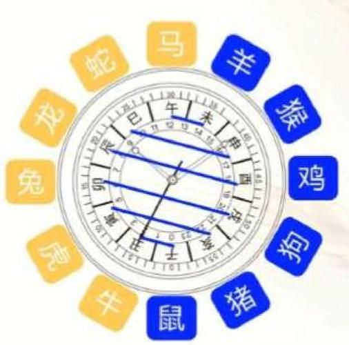 戌属什么生肖属相（戌属什么生肖）