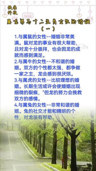 生肖龙和龙属相适合（属龙和龙相配婚姻如何 🐲）