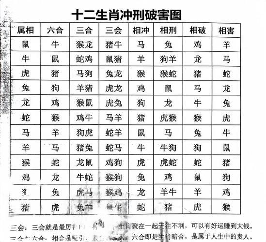属相不合生肖合（属相不合生肖合的破解方法💡）