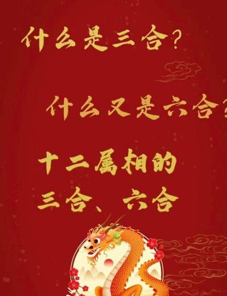 属相不合生肖合（属相不合生肖合的破解方法💡）