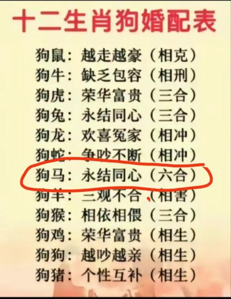 生肖狗跟那个属相不合（生肖狗和龙真的相克吗）