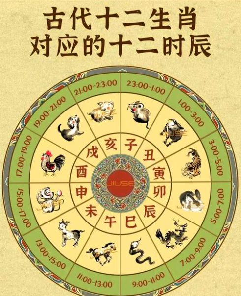 生肖为什么叫属相