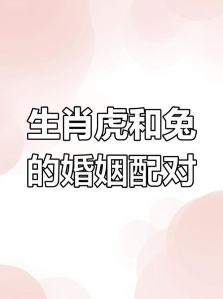老虎属相情侣生肖(属虎和什么属相最配情侣生肖)