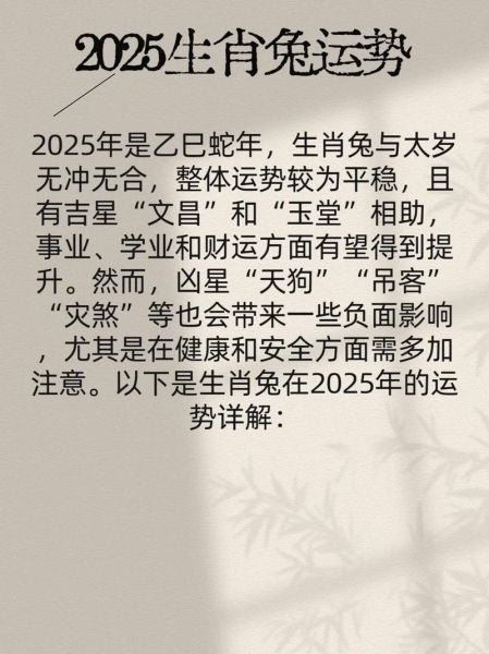 属相猪兔年注意什么生肖（猪2025年兔年犯冲生肖避坑指南）