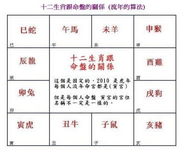 地支生肖属相表(地支生肖属相表查询入门🚀)