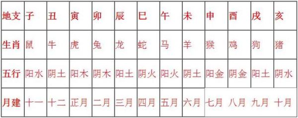 地支生肖属相表（地支生肖属相表查询入门🚀）