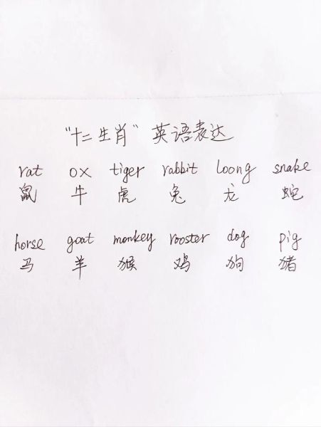 生肖又称属相翻译英文（生肖又称属相翻译英文怎么说）