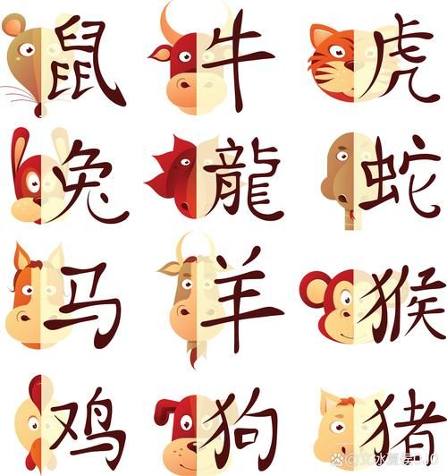 遇是什么生肖属相