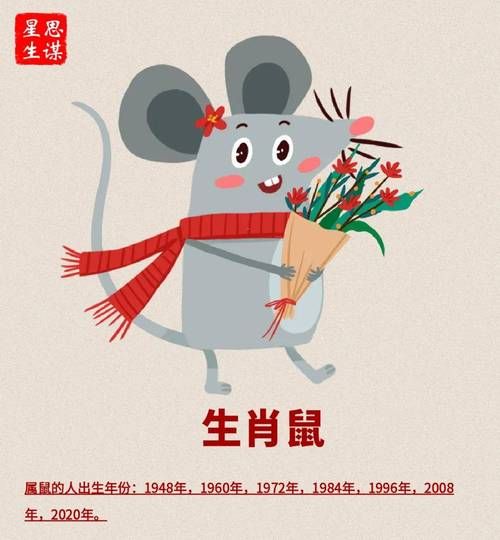老鼠属相小的生肖命运（老鼠属相小生肖命运好不好）