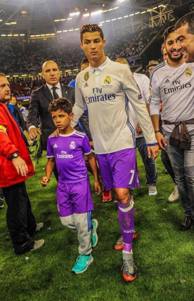 迷你罗生肖属相（迷你罗生肖属相究竟属啥？）