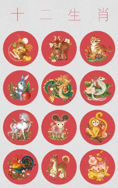 算卦属什么生肖属相最好（算卦属什么生肖属相最好运势最强）