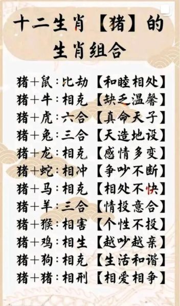 生肖猪最相配的属相是（生肖猪最配哪几个属相？）