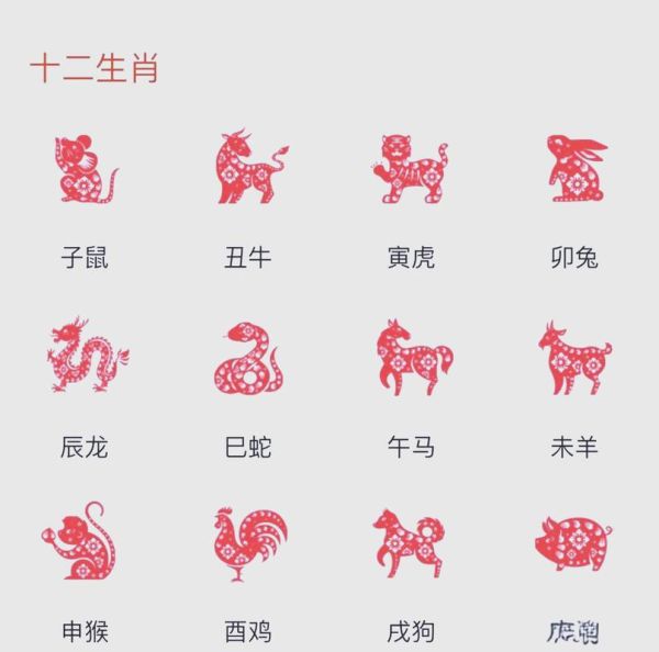 羊的属相和生肖（羊的属相和生肖是什么）