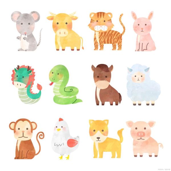 动物界都有哪些生肖属相