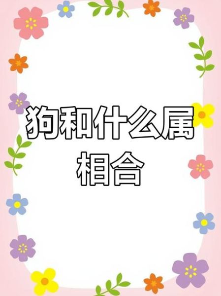 狗和什么生肖属相合（狗和什么生肖最合？新人一看就懂）