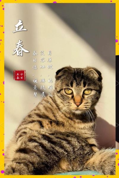 虎年立春属相是什么生肖（虎年立春属相是什么生肖？）