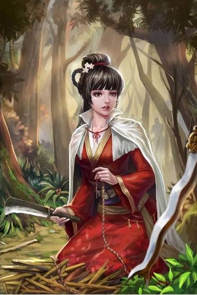 夏侯夫人属什么生肖属相(夏侯夫人属什么生肖?真相揭秘)