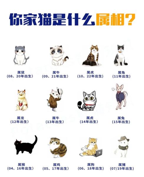猫生肖属相（猫在十二属相里代表什么生肖？）