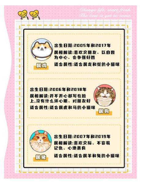 猫生肖属相（猫在十二属相里代表什么生肖？）