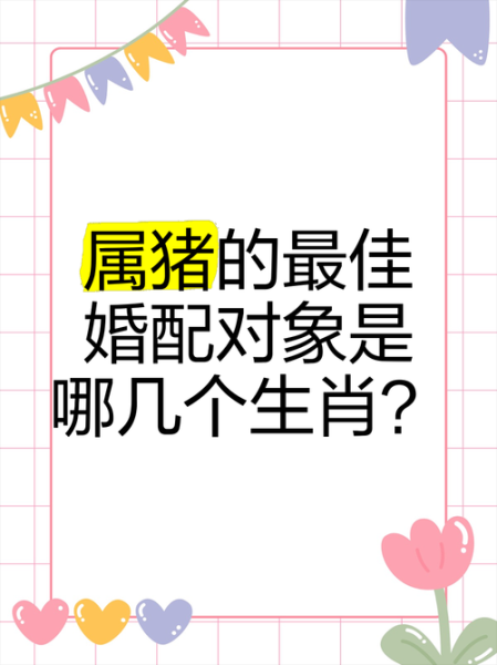 生肖猪人一生婚配属相（属猪人最佳婚配属相揭秘）