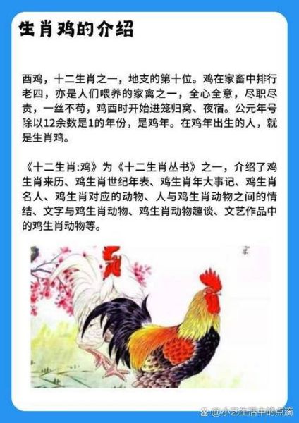 鸡下个属相是什么生肖