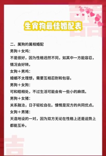 十二生肖狗男配什么属相（属狗男最佳婚配属相是什么）