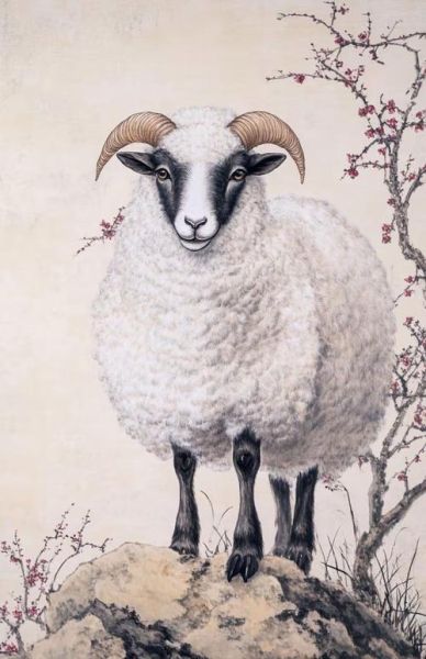 67年属相什么生肖（67年属相是什么生肖？🐐）