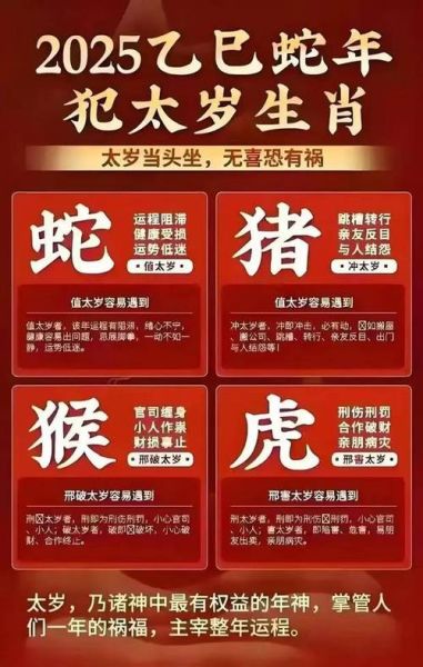 生肖最大的属相(生肖最大的属相是哪个?新手3分钟看懂)